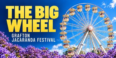 The Big Wheel - Grafton Jacaranda Festival
